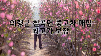 의령군 칠곡면 중고차 매입, 최고가 보장!