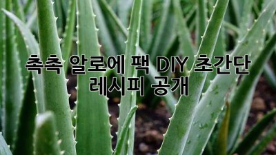 촉촉💦 알로에 팩 DIY? 초간단 레시피 공개! ✨