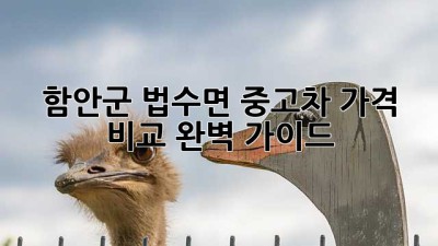 함안군 법수면 중고차 가격 비교 완벽 가이드